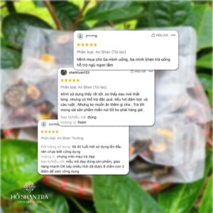 An shan trà - trà thanh lọc