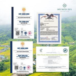 Bạch trà shan tuyết cổ thụ