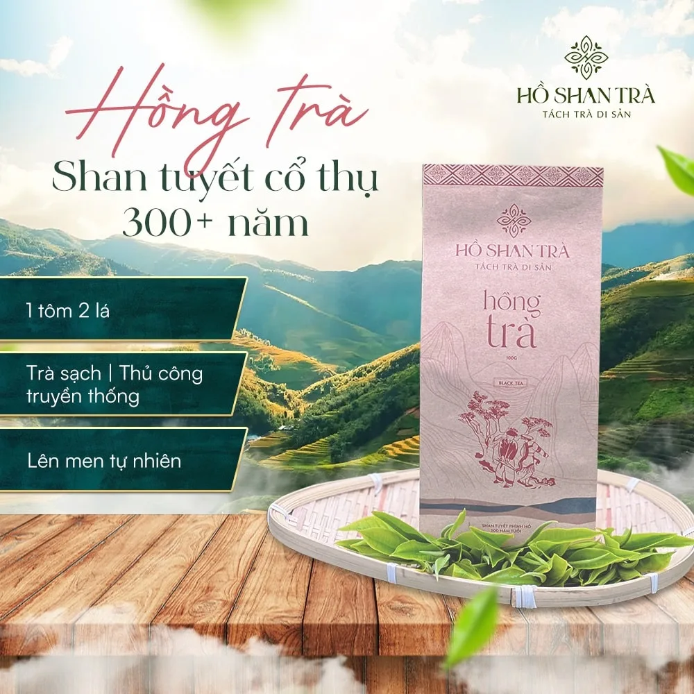 hong tra shan tuyet co thu (1)-min Hồng trà shan tuyết cổ thụ