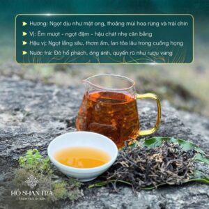 Hồng trà shan tuyết cổ thụ