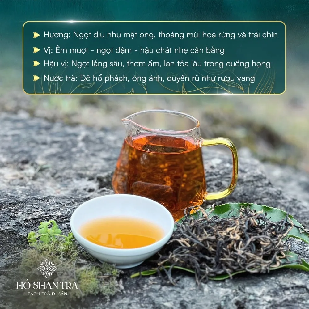hong tra shan tuyet co thu (5)-min Hồng trà shan tuyết cổ thụ