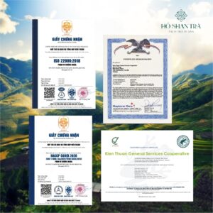 Hồng trà shan tuyết cổ thụ