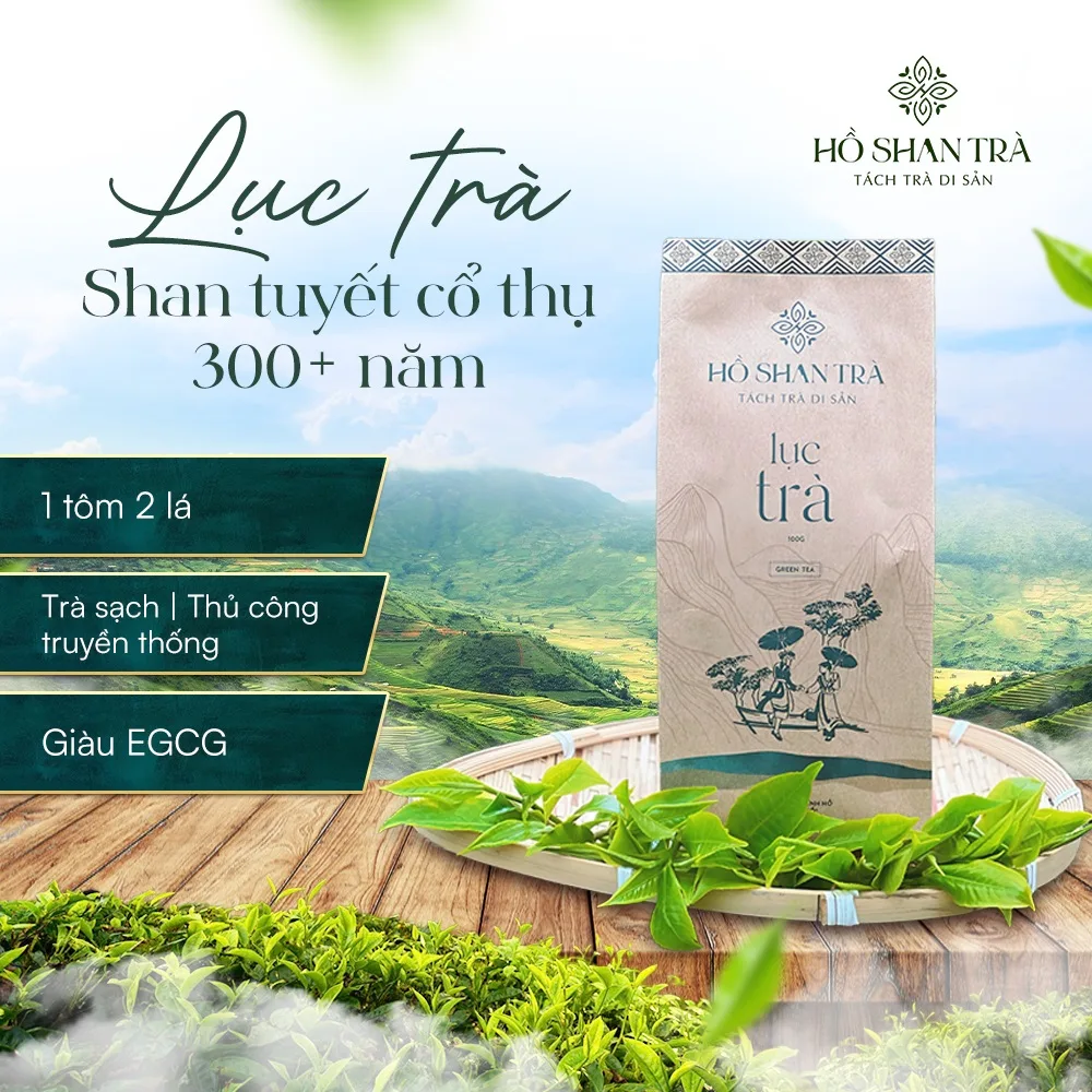 Lục trà shan tuyết