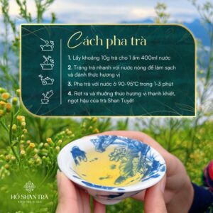 Lục trà shan tuyết