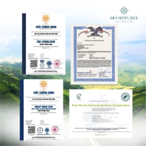 Lục trà shan tuyết