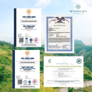 Sét quà tặng trà shan tuyết - sét quà trường thọ 3