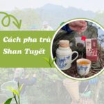 Cách pha trà Shan tuyết đúng cách