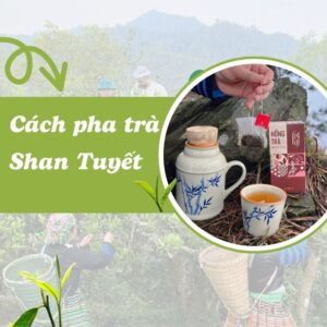 Cách pha trà Shan tuyết đúng cách