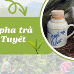 Tầm quan trọng của việc pha trà Shan Tuyết đúng cách