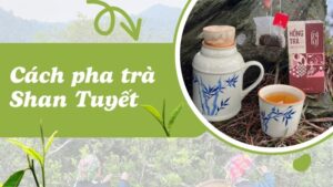 Tầm quan trọng của việc pha trà Shan Tuyết đúng cách