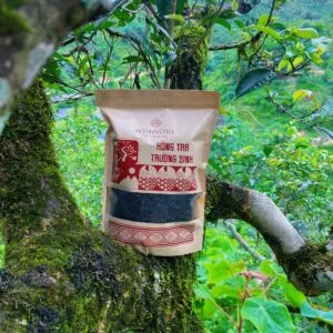 Hồng Trà Shan Tuyết Cổ Thụ - Hồng Trà Trường Sinh