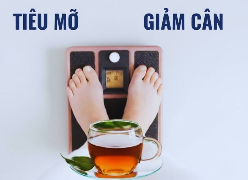 Tác dụng của trà Shan tuyết trong việc làm đẹp