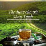 Tác dụng của trà Shan tuyết