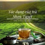 Tác dụng của trà Shan tuyết