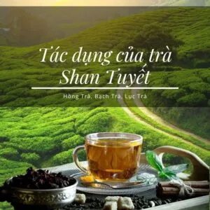 Tác dụng của trà Shan tuyết