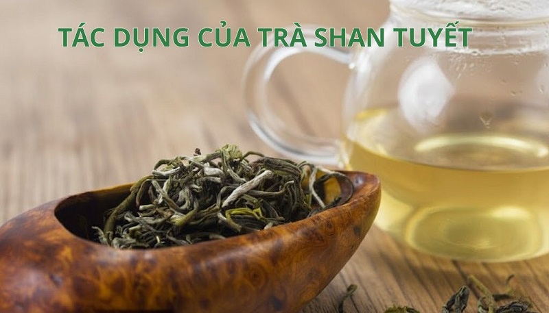 Tác dụng của trà Shan tuyết với sức khỏe