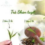 Trà Shan tuyết 1 tôm 1 lá và 1 tôm 2 lá
