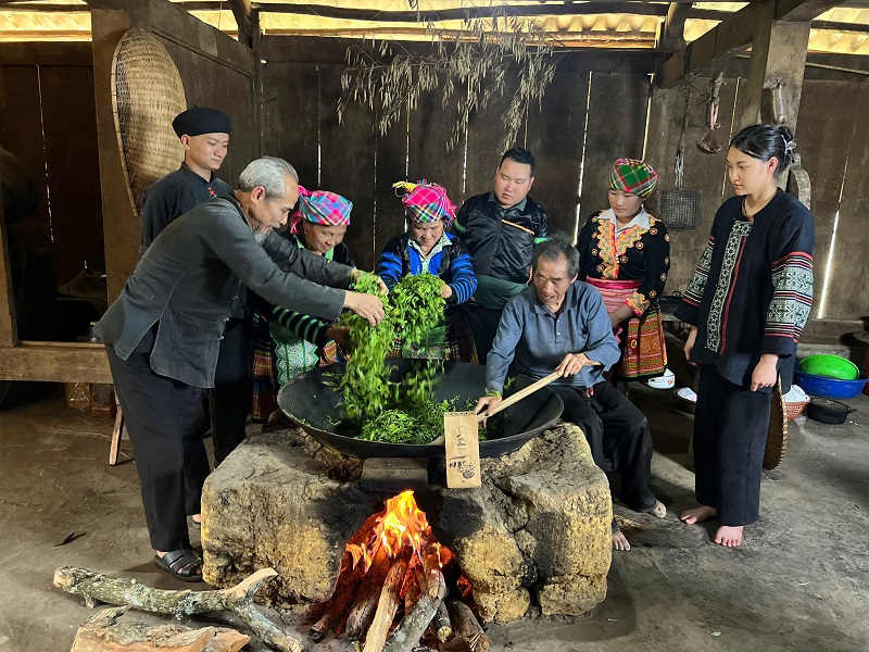 Trà Shan tuyết được chế biến thủ công