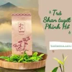 Trà Shan tuyết Phình Hồ