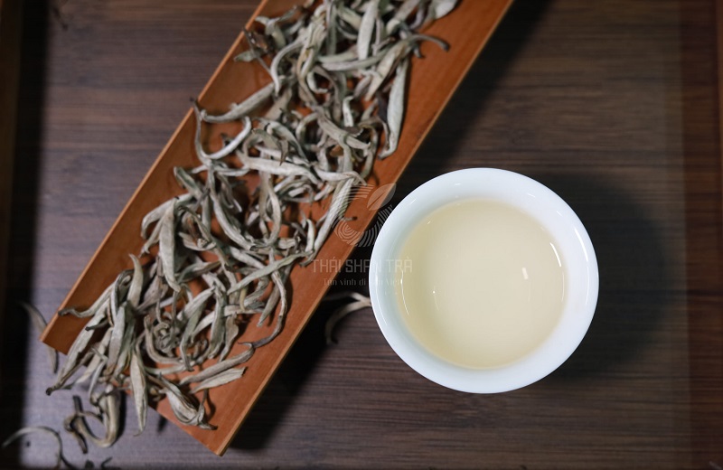 Mùi hương đặc trưng của bạch trà