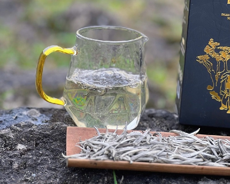 Công dụng của bạch trà trong làm đẹp