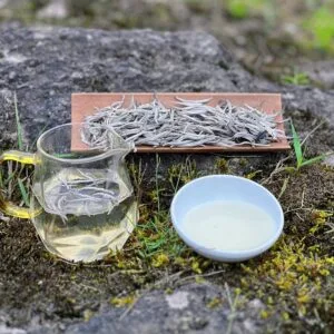 Mùi hương của bạch trà