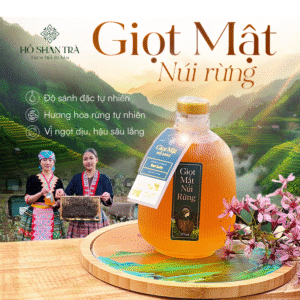 Giọt Mật Núi Rừng