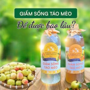 Cách bảo quản giấm sống táo mèo