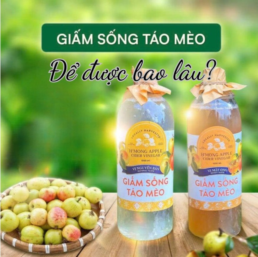 Cách bảo quản giấm táo mèo đúng cách sau khi mở nắp
