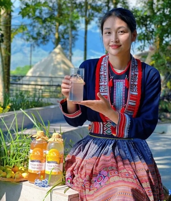 Tác dụng của giấm táo mèo