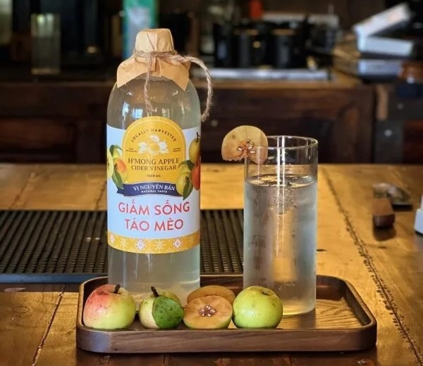 Uống giấm táo mèo có tốt không?