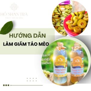 làm giấm táo mèo