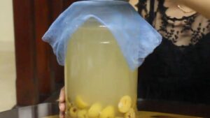Làm giấm táo mèo tại nhà
