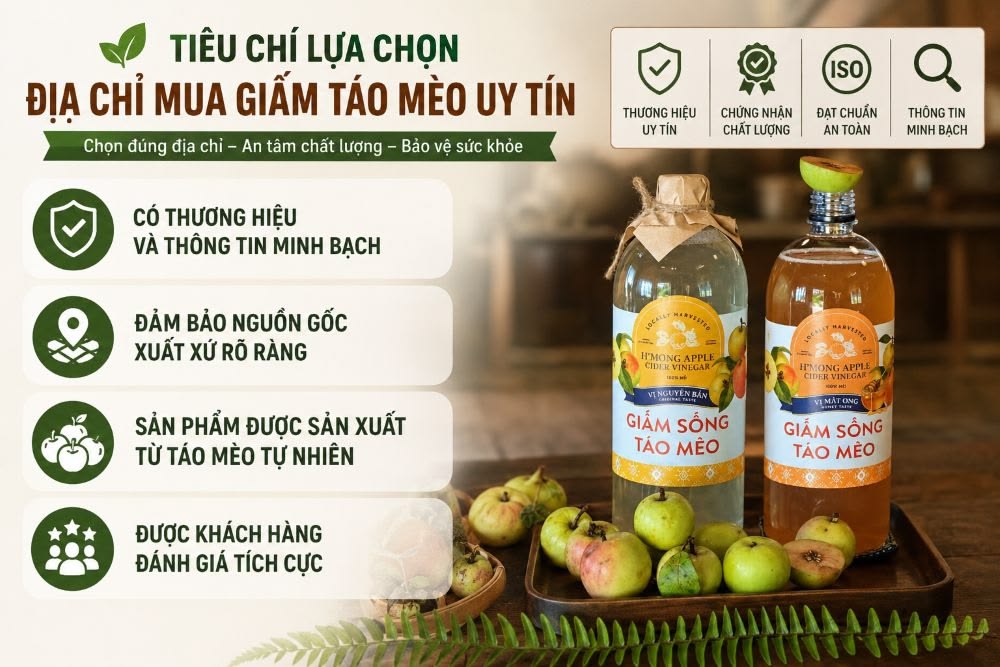 Tiêu chí lựa chọn địa chỉ mua giấm táo mèo uy tín