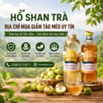 Địa chỉ mua giấm táo mèo uy tín