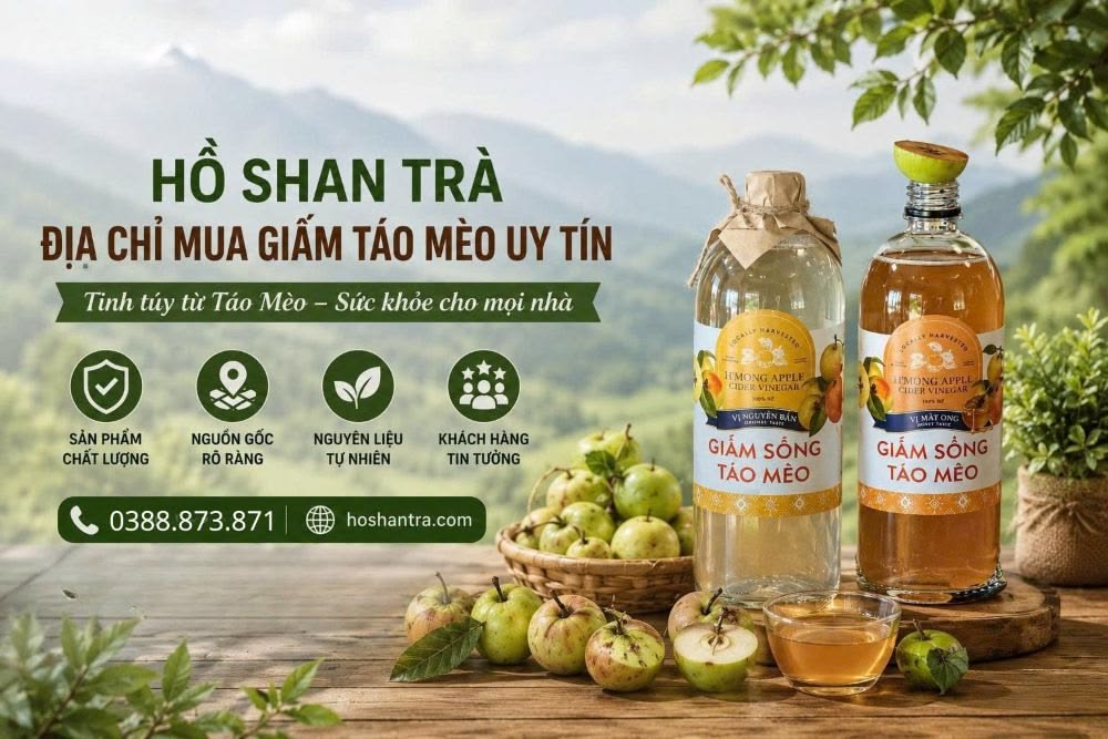 Địa chỉ mua giấm táo mèo uy tín