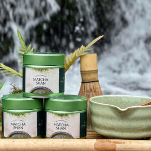 matcha shan tuyết cổ thụ