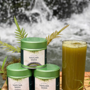 matcha shan tuyết cổ thụ