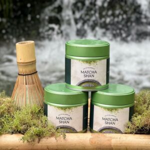 matcha shan tuyết cổ thụ