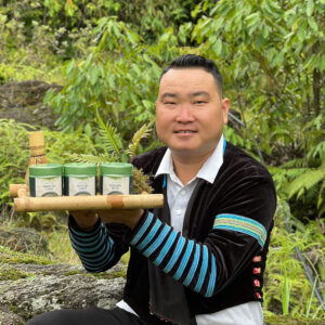 matcha shan tuyết cổ thụ