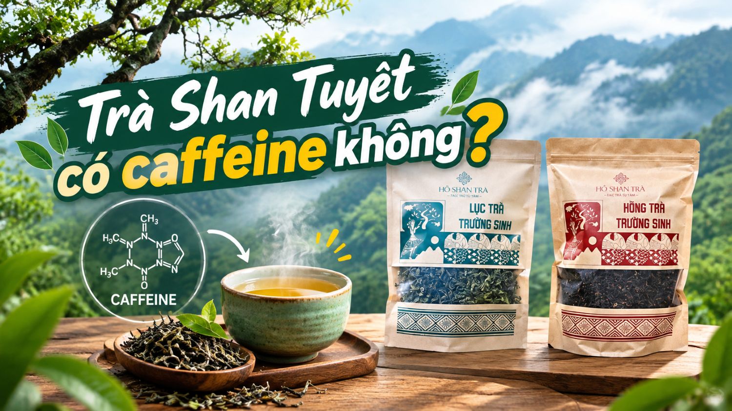 Trà Shan Tuyết có caffeine không