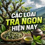 Các loại trà ngon của Việt Nam