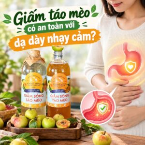 Giấm táo mèo có an toàn với dạ dày nhạy cảm